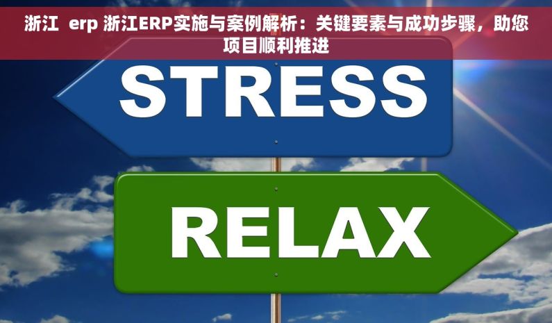 浙江  erp 浙江ERP实施与案例解析：关键要素与成功步骤，助您项目顺利推进
