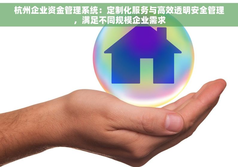 杭州企业资金管理系统：定制化服务与高效透明安全管理，满足不同规模企业需求