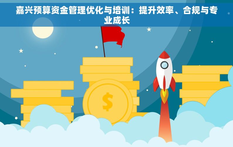 嘉兴预算资金管理优化与培训：提升效率、合规与专业成长