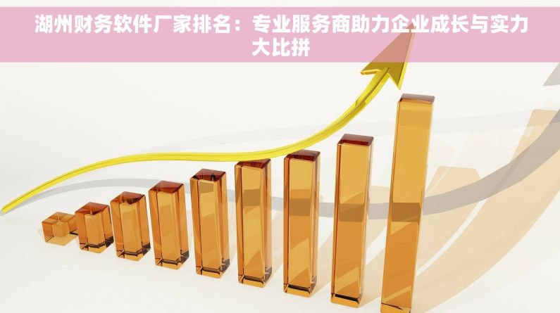 湖州财务软件厂家排名：专业服务商助力企业成长与实力大比拼