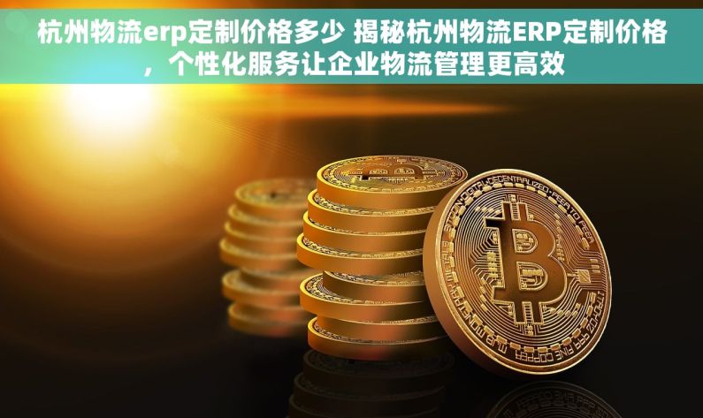 杭州物流erp定制价格多少 揭秘杭州物流ERP定制价格，个性化服务让企业物流管理更高效