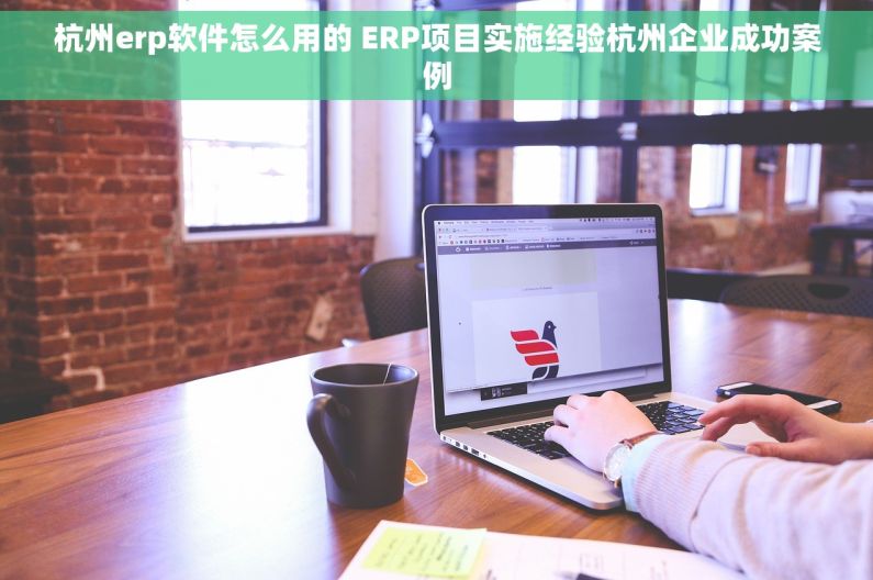 杭州erp软件怎么用的 ERP项目实施经验杭州企业成功案例