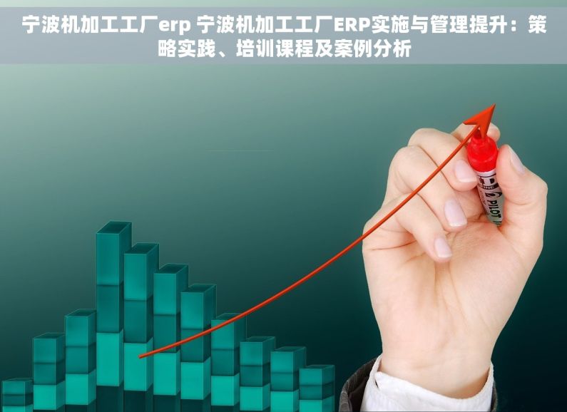 宁波机加工工厂erp 宁波机加工工厂ERP实施与管理提升：策略实践、培训课程及案例分析