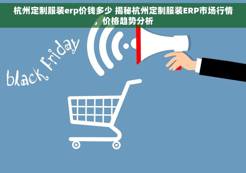 杭州定制服装erp价钱多少 揭秘杭州定制服装ERP市场行情，价格趋势分析