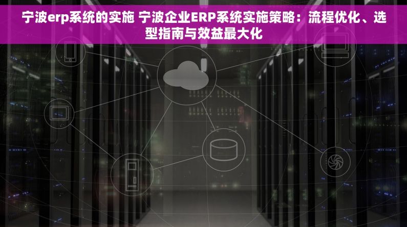 宁波erp系统的实施 宁波企业ERP系统实施策略：流程优化、选型指南与效益最大化