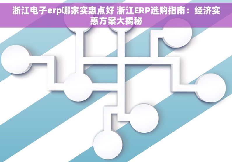 浙江电子erp哪家实惠点好 浙江ERP选购指南：经济实惠方案大揭秘