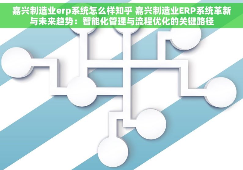 嘉兴制造业erp系统怎么样知乎 嘉兴制造业ERP系统革新与未来趋势：智能化管理与流程优化的关键路径