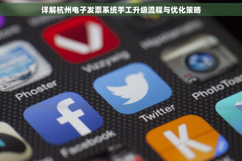 详解杭州电子发票系统手工升级流程与优化策略