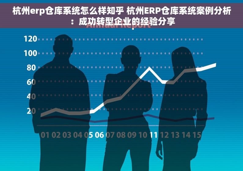 杭州erp仓库系统怎么样知乎 杭州ERP仓库系统案例分析：成功转型企业的经验分享