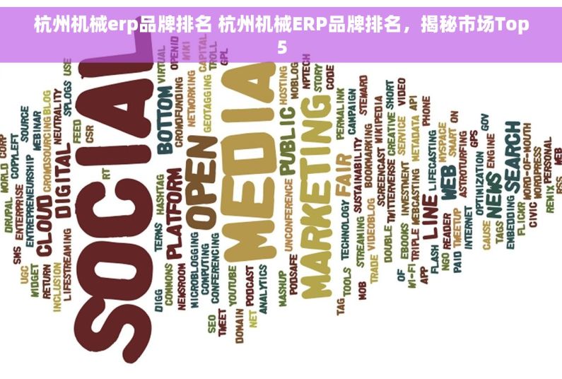 杭州机械erp品牌排名 杭州机械ERP品牌排名，揭秘市场Top5