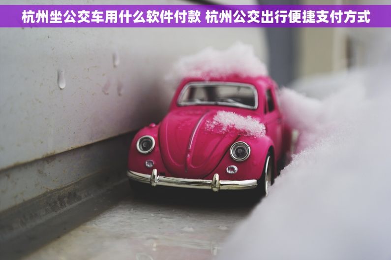 杭州坐公交车用什么软件付款 杭州公交出行便捷支付方式