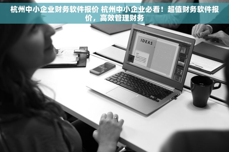 杭州中小企业财务软件报价 杭州中小企业必看！超值财务软件报价，高效管理财务