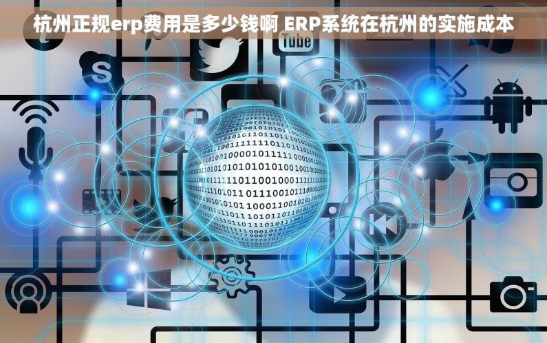 杭州正规erp费用是多少钱啊 ERP系统在杭州的实施成本