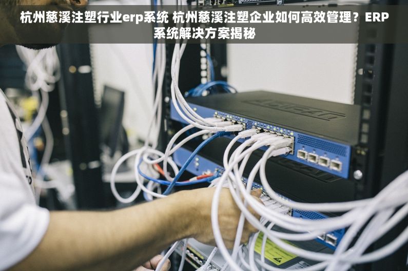 杭州慈溪注塑行业erp系统 杭州慈溪注塑企业如何高效管理？ERP系统解决方案揭秘
