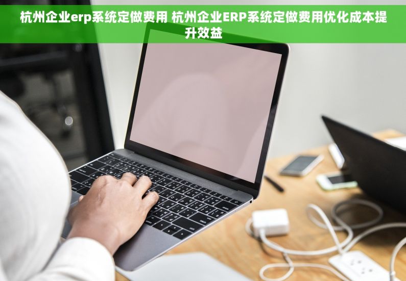 杭州企业erp系统定做费用 杭州企业ERP系统定做费用优化成本提升效益