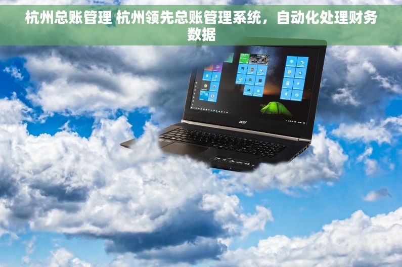 杭州总账管理 杭州领先总账管理系统，自动化处理财务数据