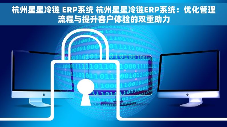 杭州星星冷链 ERP系统 杭州星星冷链ERP系统：优化管理流程与提升客户体验的双重助力