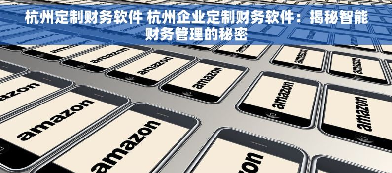 杭州定制财务软件 杭州企业定制财务软件：揭秘智能财务管理的秘密