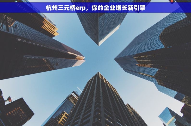 杭州三元桥erp，你的企业增长新引擎