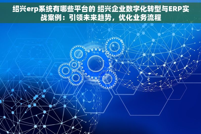 绍兴erp系统有哪些平台的 绍兴企业数字化转型与ERP实战案例：引领未来趋势，优化业务流程