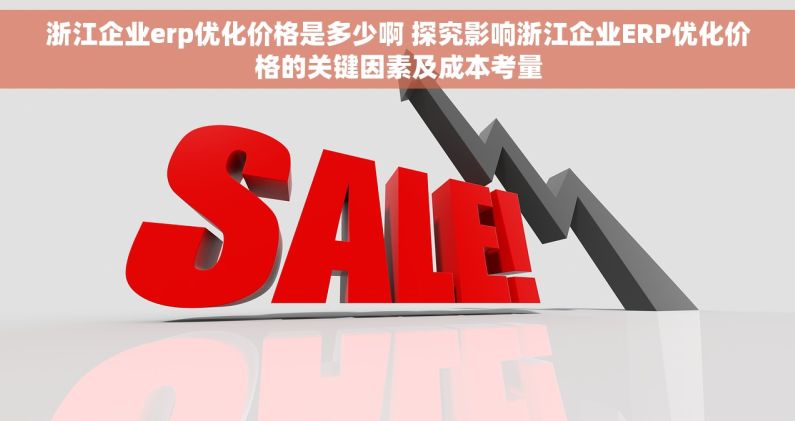 浙江企业erp优化价格是多少啊 探究影响浙江企业ERP优化价格的关键因素及成本考量
