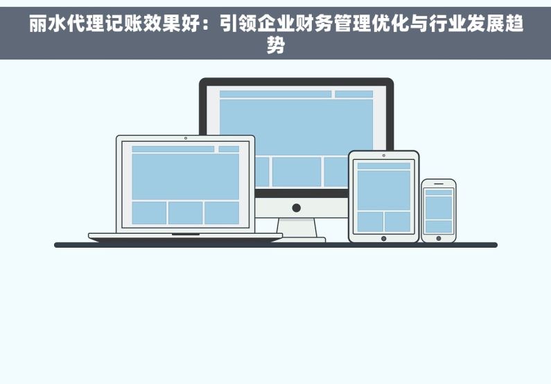 丽水代理记账效果好：引领企业财务管理优化与行业发展趋势
