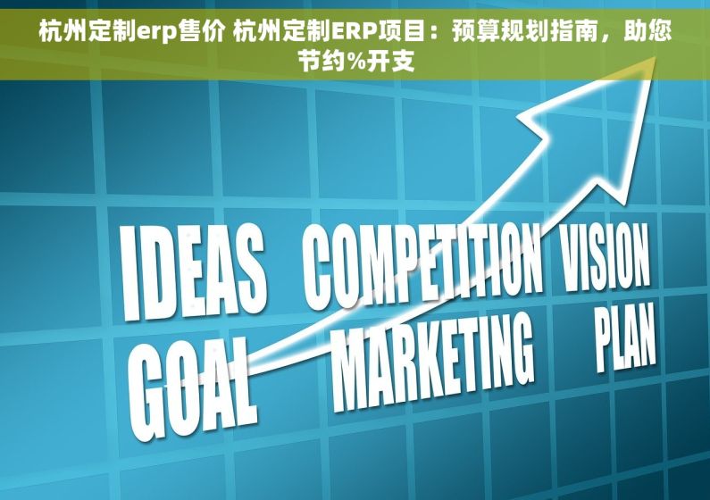 杭州定制erp售价 杭州定制ERP项目：预算规划指南，助您节约%开支