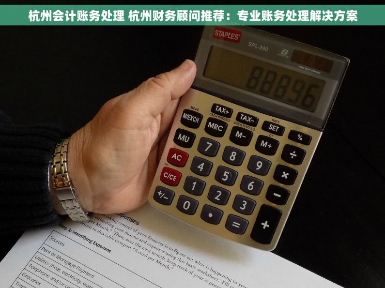 杭州会计账务处理 杭州财务顾问推荐：专业账务处理解决方案