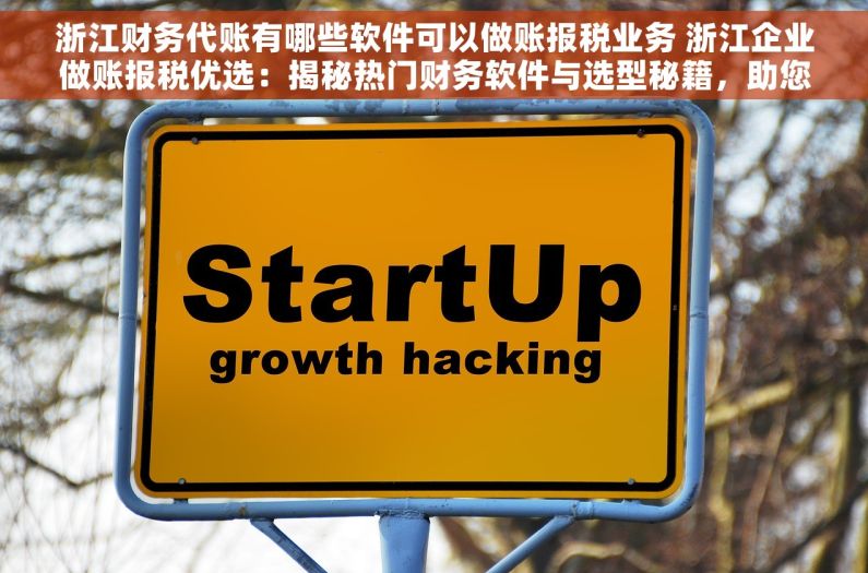 浙江财务代账有哪些软件可以做账报税业务 浙江企业做账报税优选：揭秘热门财务软件与选型秘籍，助您高效管理财务