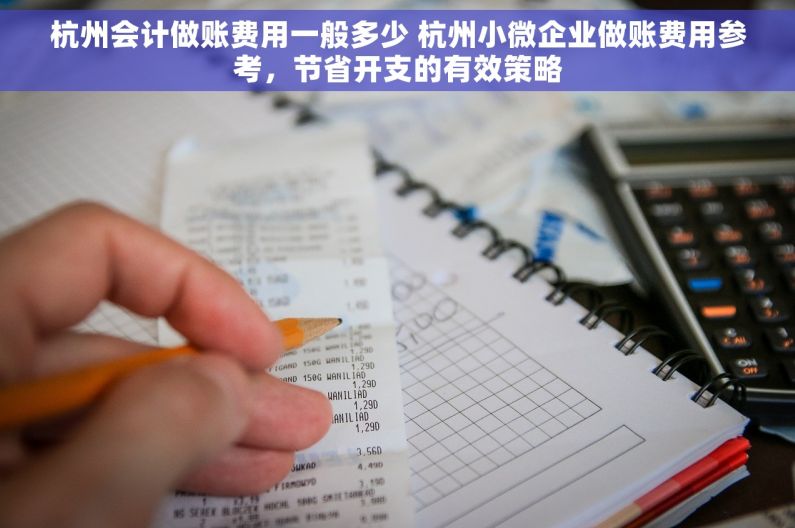 杭州会计做账费用一般多少 杭州小微企业做账费用参考，节省开支的有效策略