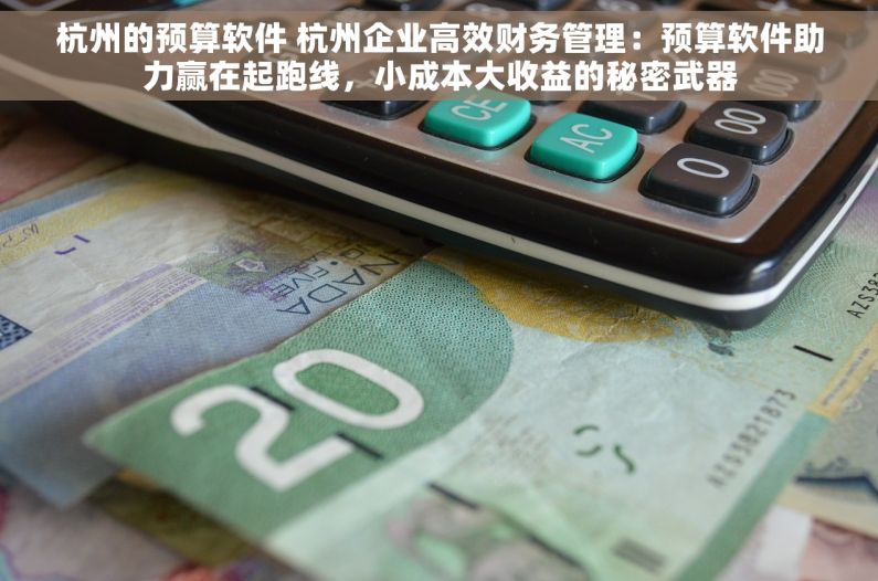 杭州的预算软件 杭州企业高效财务管理：预算软件助力赢在起跑线，小成本大收益的秘密武器