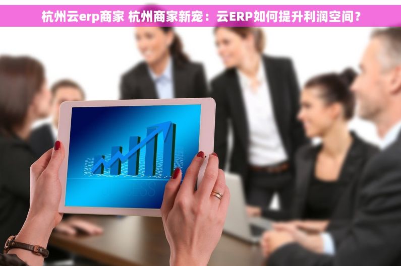 杭州云erp商家 杭州商家新宠：云ERP如何提升利润空间？