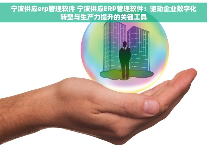 宁波供应erp管理软件 宁波供应ERP管理软件：驱动企业数字化转型与生产力提升的关键工具