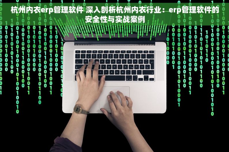 杭州内衣erp管理软件 深入剖析杭州内衣行业：erp管理软件的安全性与实战案例
