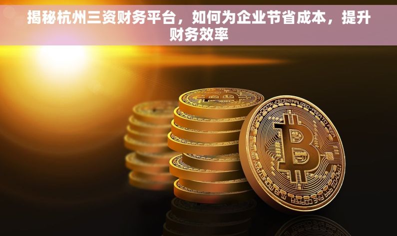 揭秘杭州三资财务平台，如何为企业节省成本，提升财务效率