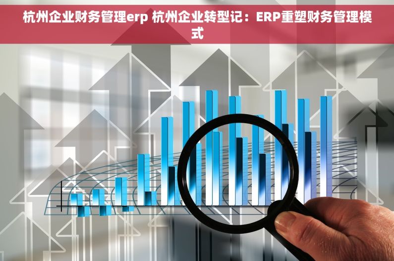 杭州企业财务管理erp 杭州企业转型记：ERP重塑财务管理模式