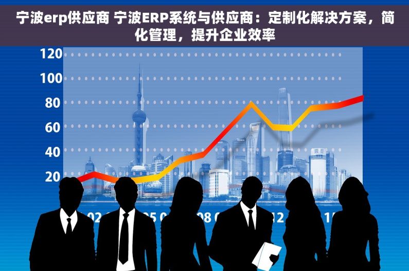 宁波erp供应商 宁波ERP系统与供应商：定制化解决方案，简化管理，提升企业效率
