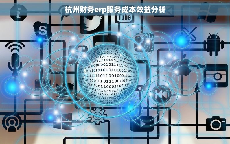杭州财务erp服务成本效益分析