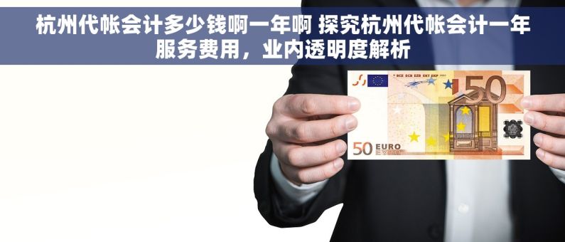杭州代帐会计多少钱啊一年啊 探究杭州代帐会计一年服务费用，业内透明度解析