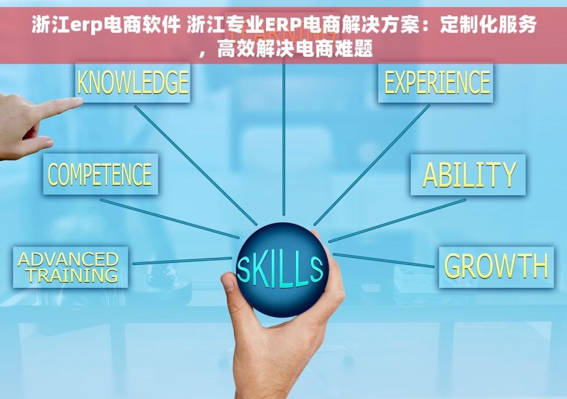 浙江erp电商软件 浙江专业ERP电商解决方案：定制化服务，高效解决电商难题