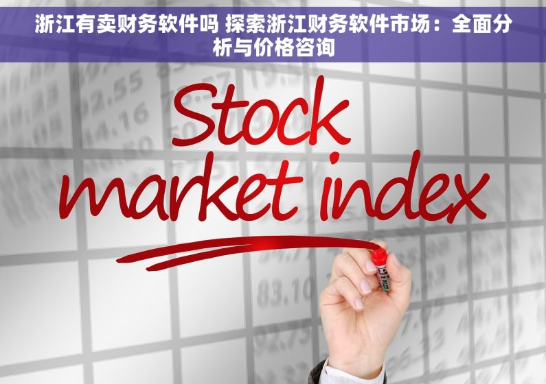 浙江有卖财务软件吗 探索浙江财务软件市场：全面分析与价格咨询
