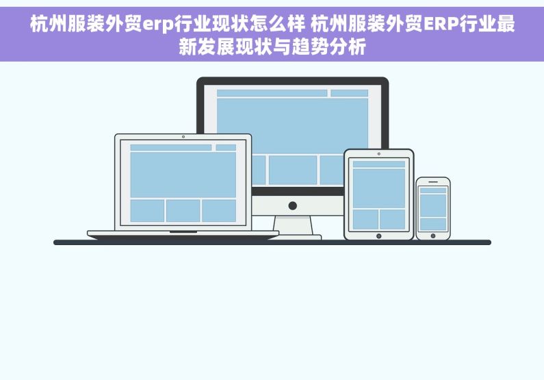 杭州服装外贸erp行业现状怎么样 杭州服装外贸ERP行业最新发展现状与趋势分析