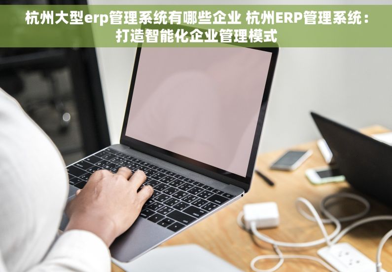 杭州大型erp管理系统有哪些企业 杭州ERP管理系统：打造智能化企业管理模式