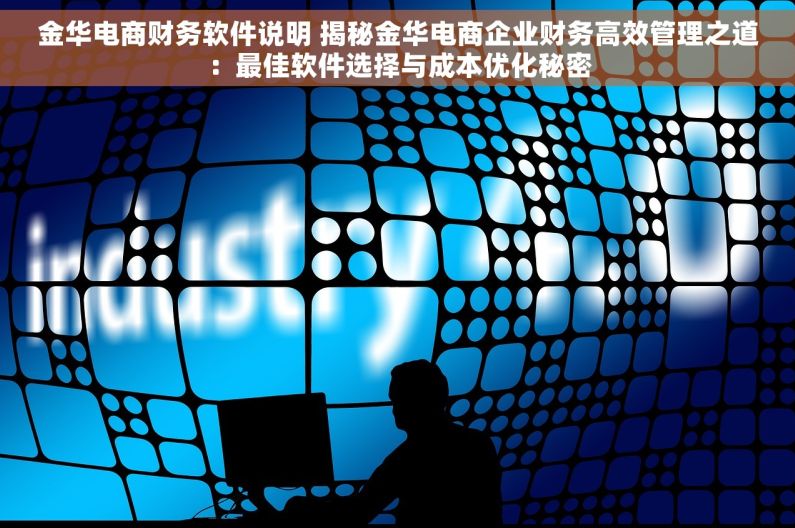 金华电商财务软件说明 揭秘金华电商企业财务高效管理之道：最佳软件选择与成本优化秘密