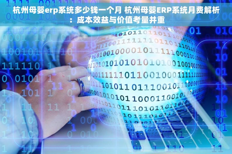 杭州母婴erp系统多少钱一个月 杭州母婴ERP系统月费解析：成本效益与价值考量并重