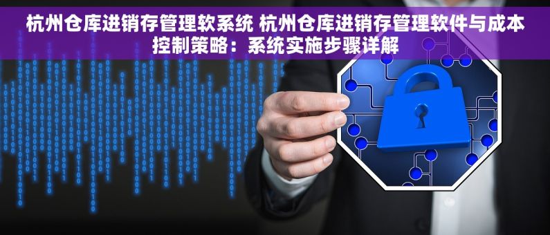 杭州仓库进销存管理软系统 杭州仓库进销存管理软件与成本控制策略：系统实施步骤详解