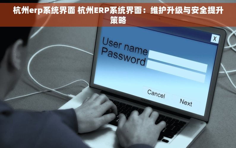 杭州erp系统界面 杭州ERP系统界面：维护升级与安全提升策略