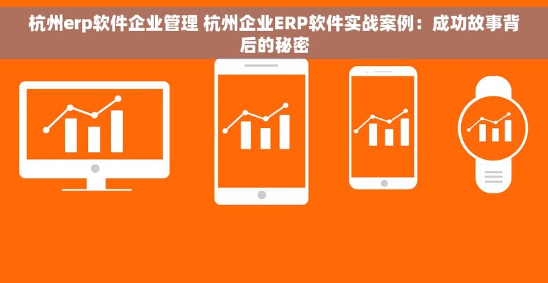 杭州erp软件企业管理 杭州企业ERP软件实战案例：成功故事背后的秘密
