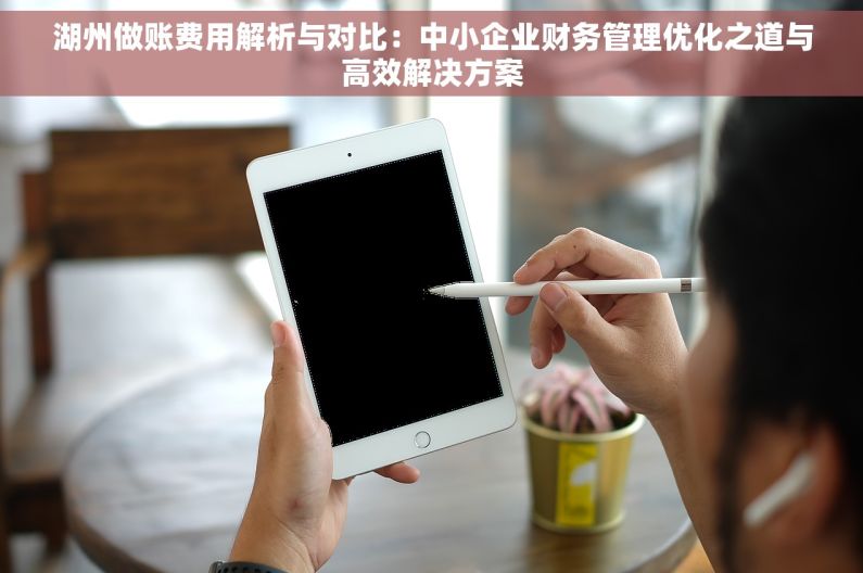 湖州做账费用解析与对比：中小企业财务管理优化之道与高效解决方案
