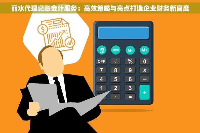 丽水代理记账会计服务：高效策略与亮点打造企业财务新高度